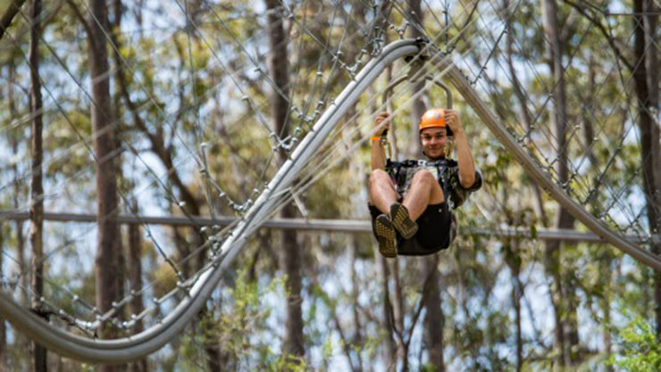 fastest roller coaster zip line